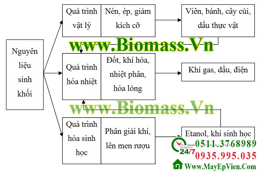 Năng lượng sinh khối Biomass nguồn năng lượng mới của tương lai